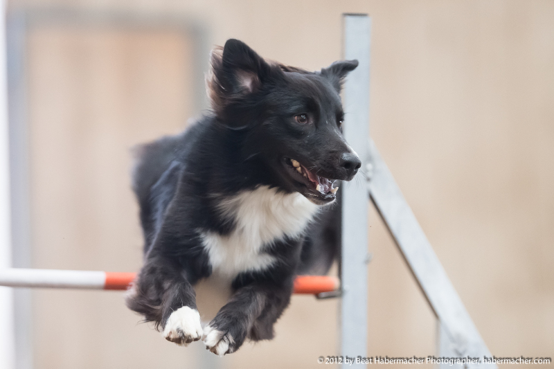 20120805_123735_DX_8324