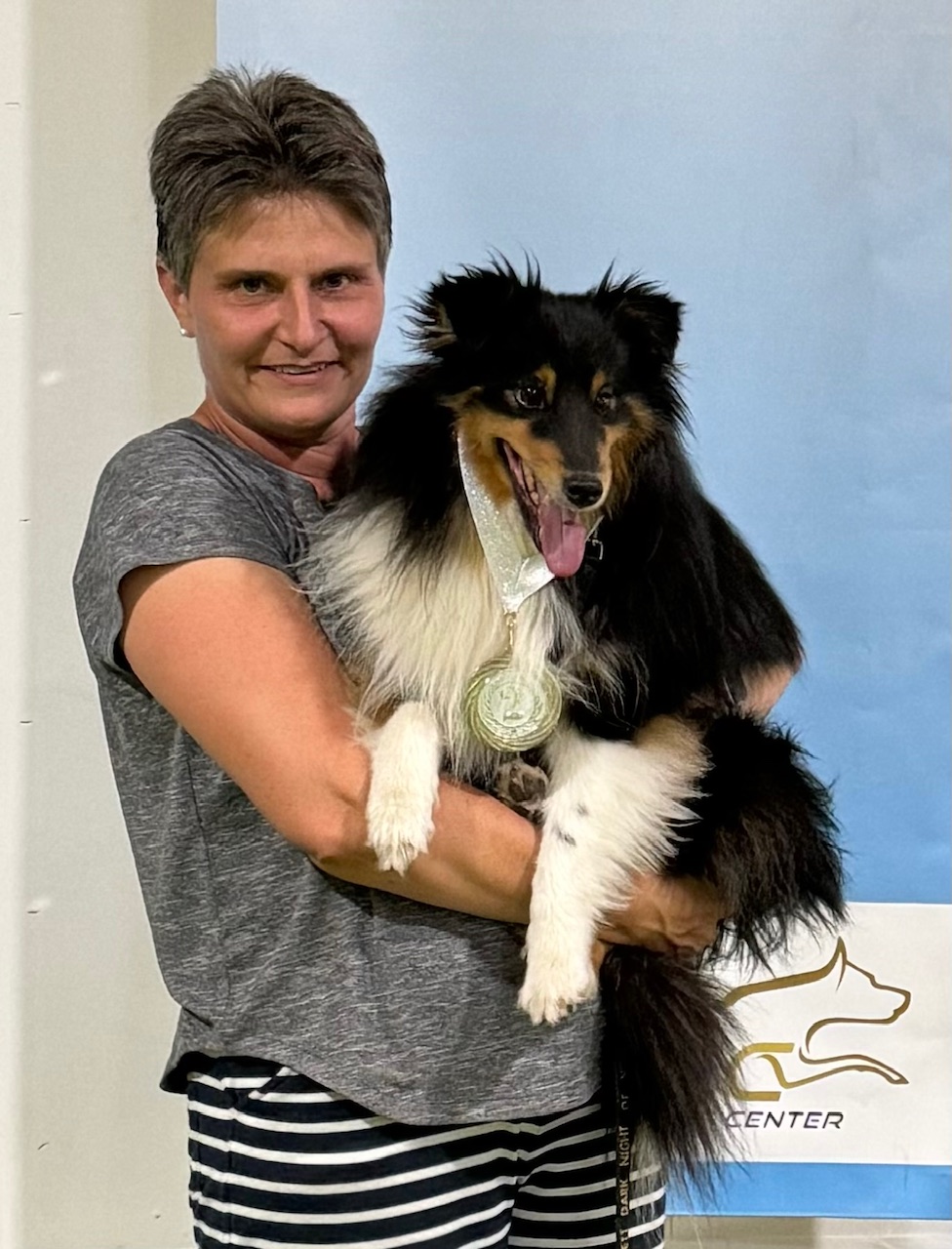 Sheltie SM 2024